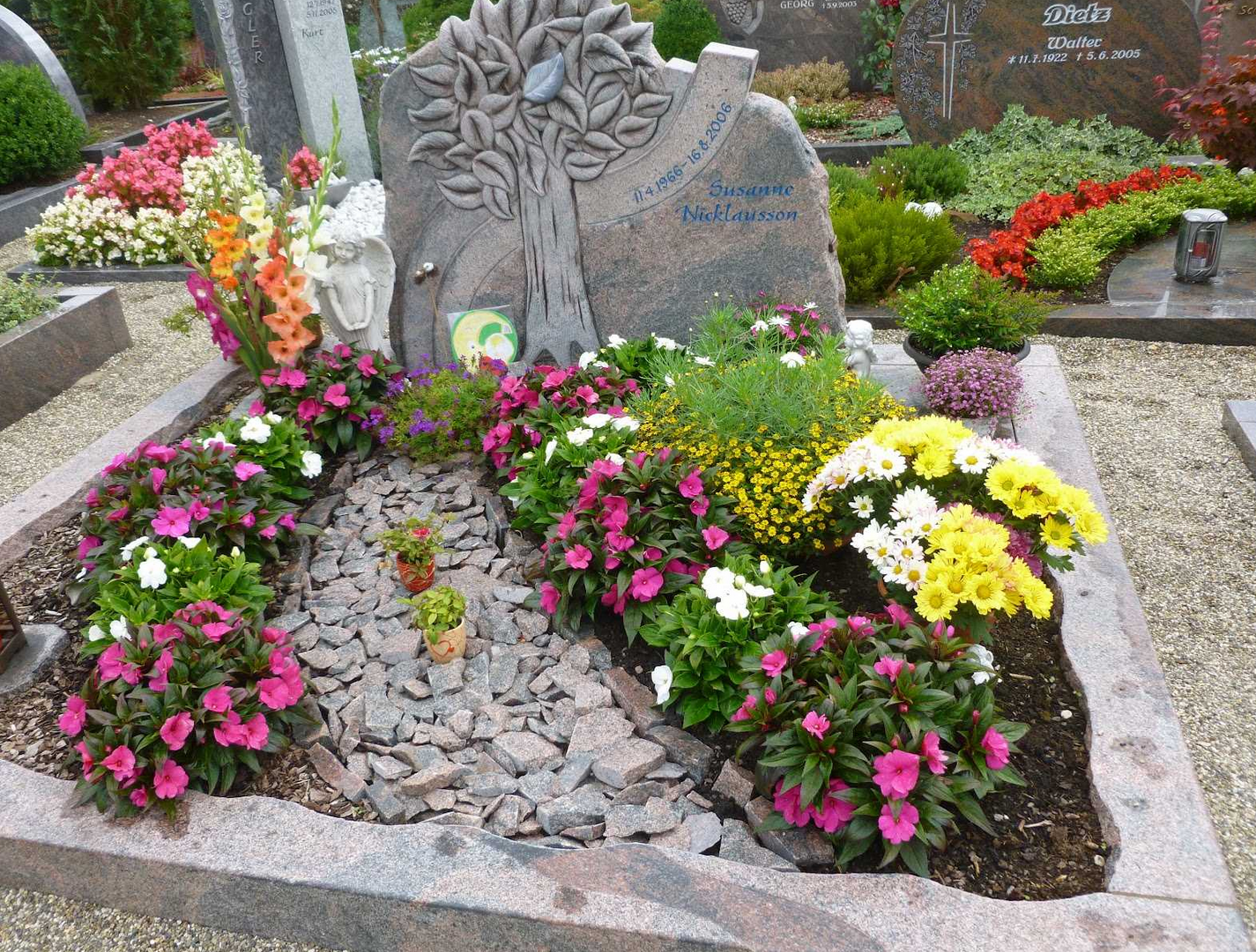 цветник с пышными цветами красного и жёлтого цвета