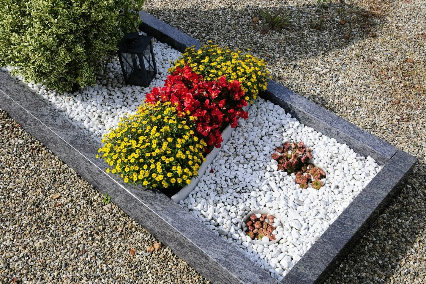 цветы в горшках на мраморной крошке белого цвета