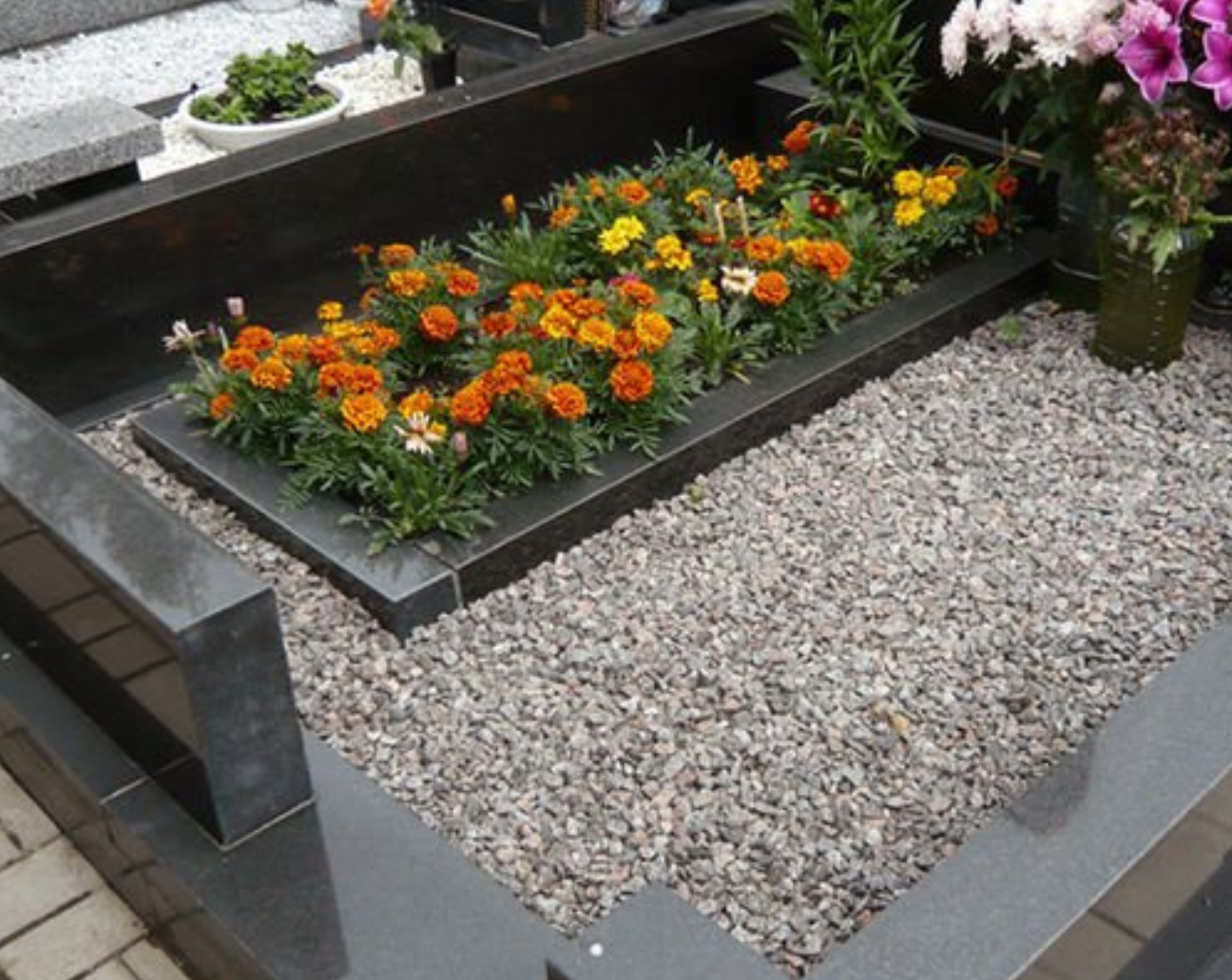 бархатцы высаженные в цветнике могилы