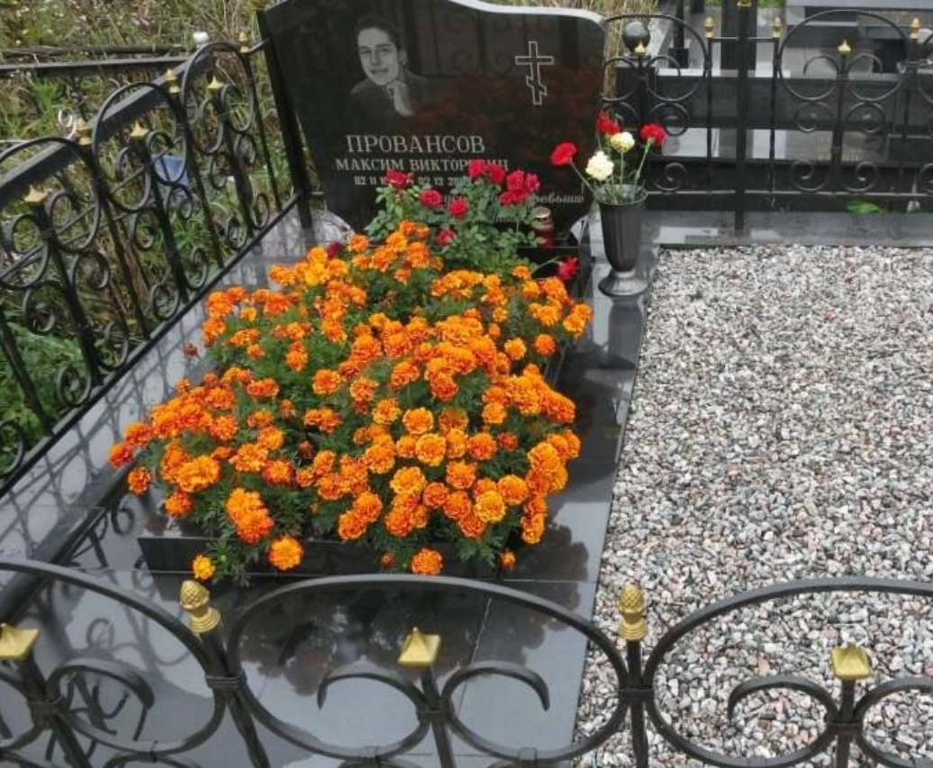 бархатцы высаженные в цветнике могилы