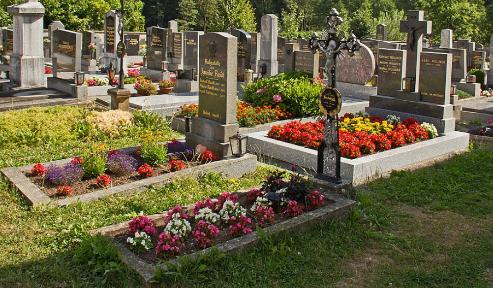 образец высадки цветов в цветнике могилы