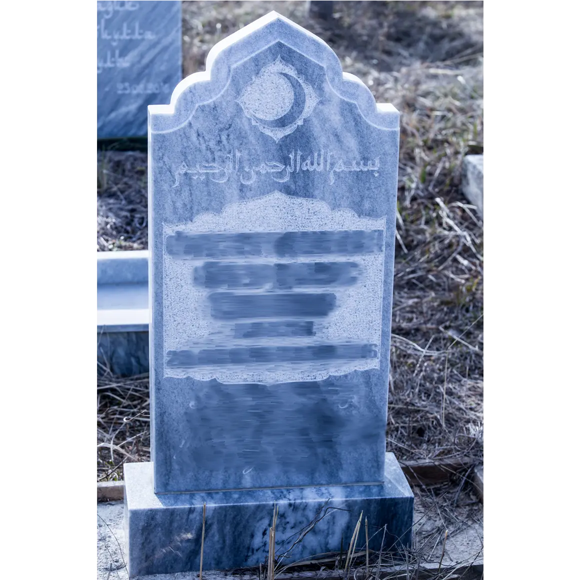 Рис.31, Цена: 7.000 рублей